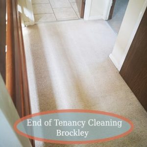 carpet cleaning services brockley