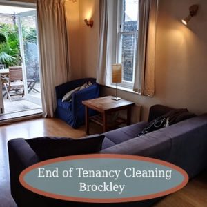 house cleaning brockley